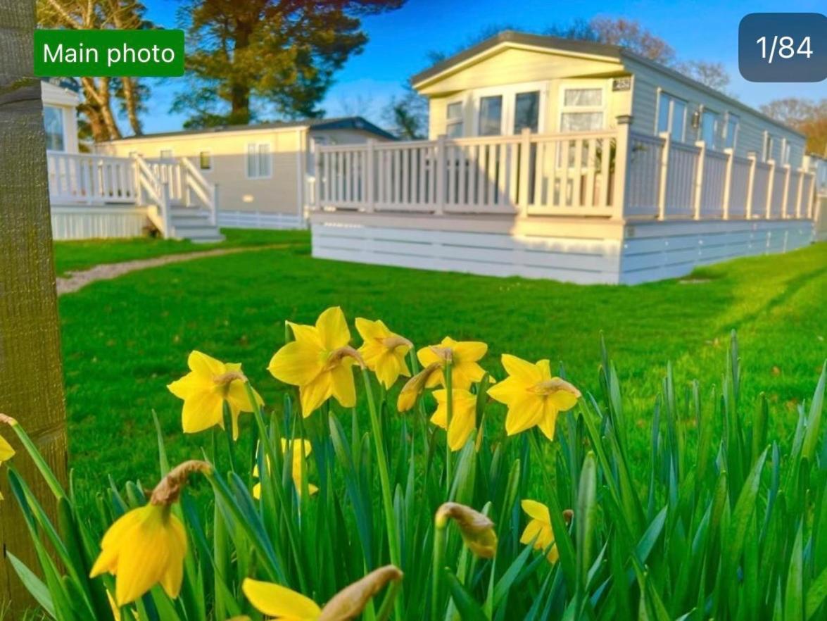Forest Hart Holiday home *